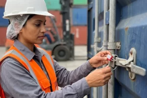 precintos de seguridad